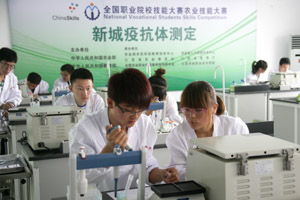 全國農(nóng)業(yè)技能大賽比賽現(xiàn)場