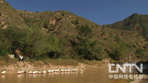 宣化縣王家灣鄉(xiāng)閻家村