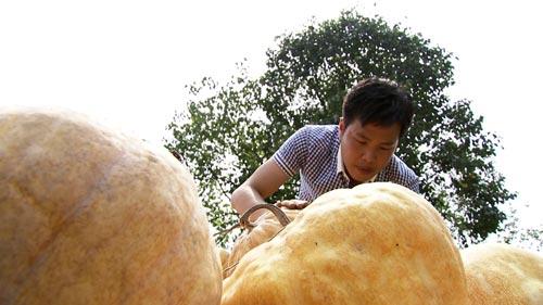 江西高安市盧文強(qiáng)