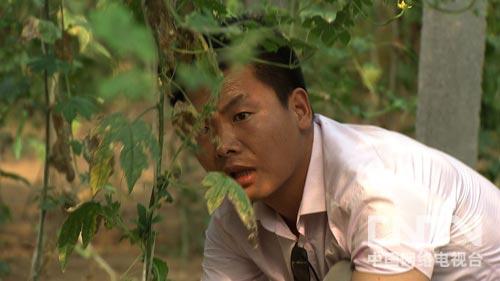 河南淮陽縣馬偉國