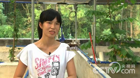 韶關(guān)劉君鳳