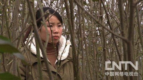 重慶大學(xué)生村官張雪