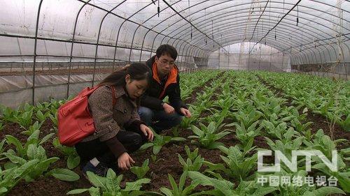 重慶榮昌縣村官張雪