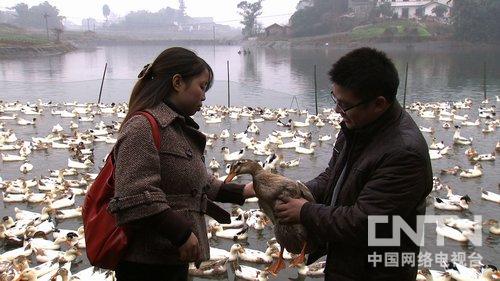 重慶榮昌縣村官張雪