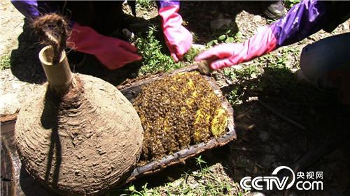 女孩飽受流言蜚語背后的財富