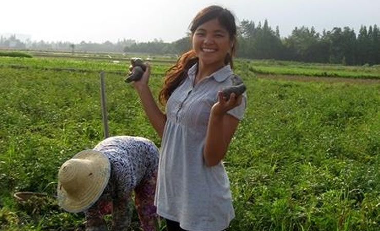 彭潔 現(xiàn)為四川農(nóng)業(yè)大學(xué)博士研究生