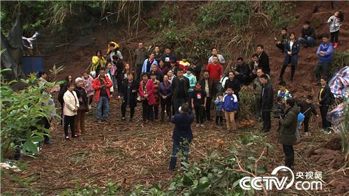 湖南省瀘溪縣李云峰把雞“催眠” 價格翻倍