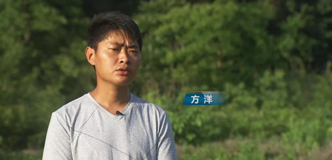 四川遂寧方養(yǎng)青蛙