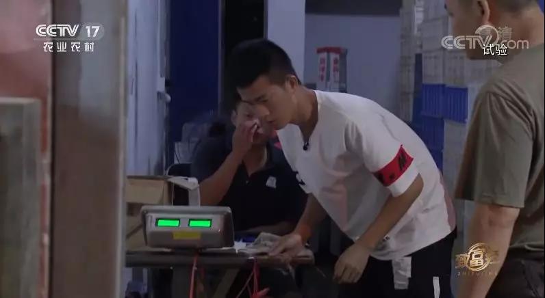 著手青蛙銷售渠道建設