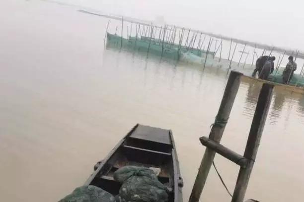 水產(chǎn)業(yè)受疫情影響