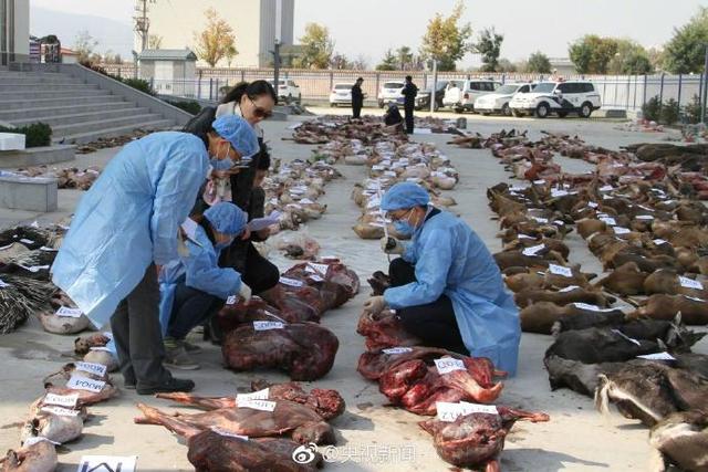 警方破獲非法捕獲售賣野生動物案件