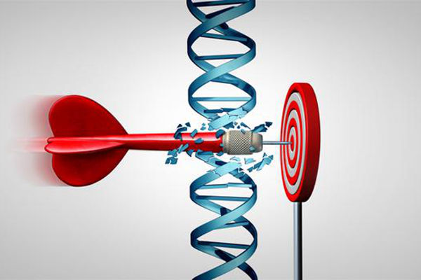 新型冠狀病毒感染的肺炎疫情