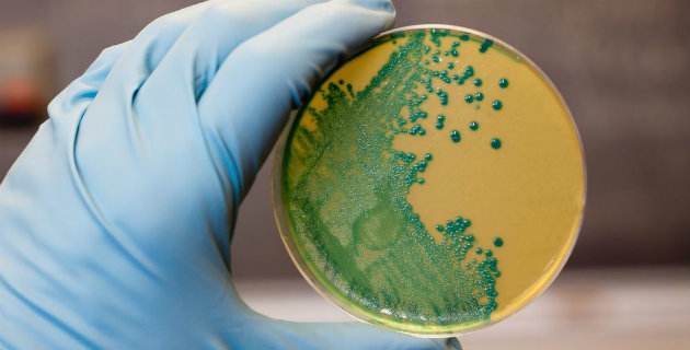 成都市人民政府關(guān)于印發(fā)有效應(yīng)對(duì)疫情穩(wěn)定經(jīng)濟(jì)運(yùn)行20條政策措施的通知