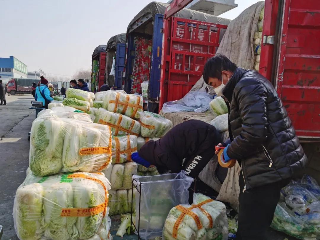 蔬菜產(chǎn)業(yè)鏈